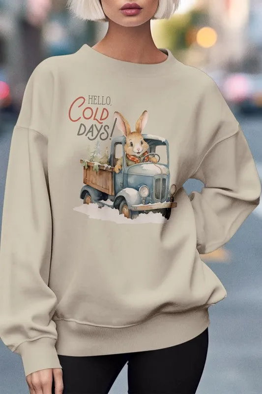 Hello Cold Days Winter Sweatshirt